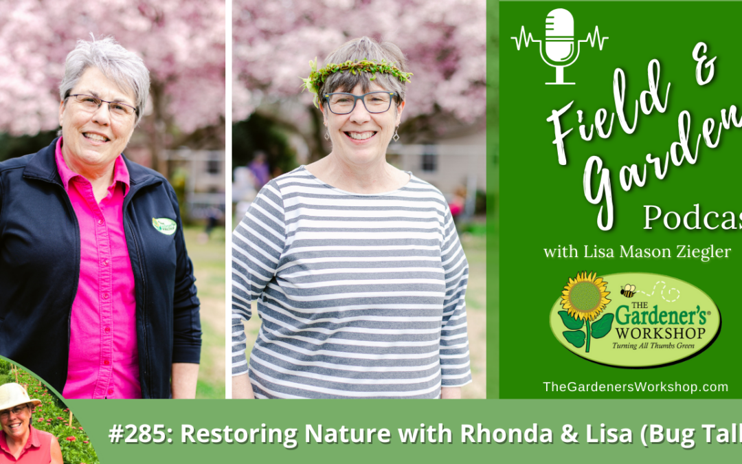 #285: Restoring Nature with Rhonda & Lisa (Bug Talk)