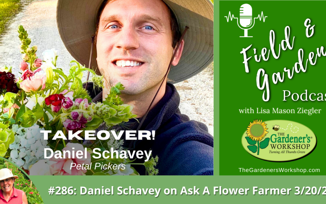 #286: Daniel Schavey’s March Q&A, Ask A Flower Farmer