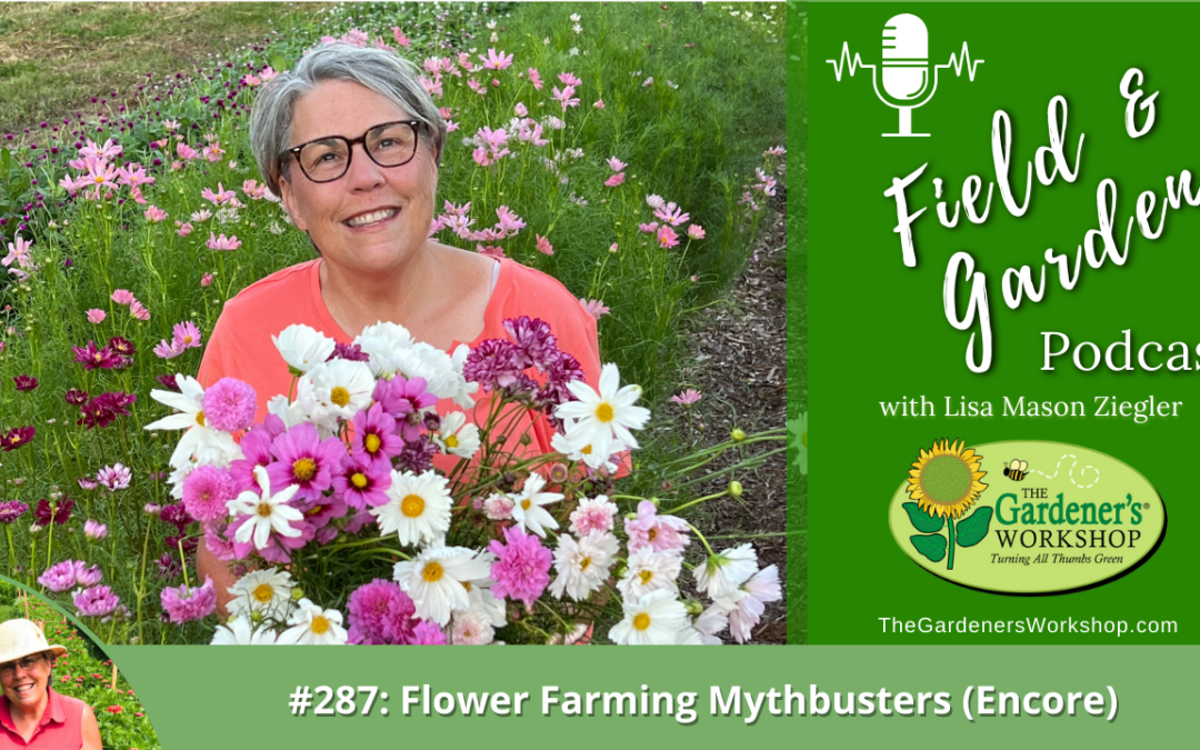 #287: Flower Farming Mythbusters (Encore)