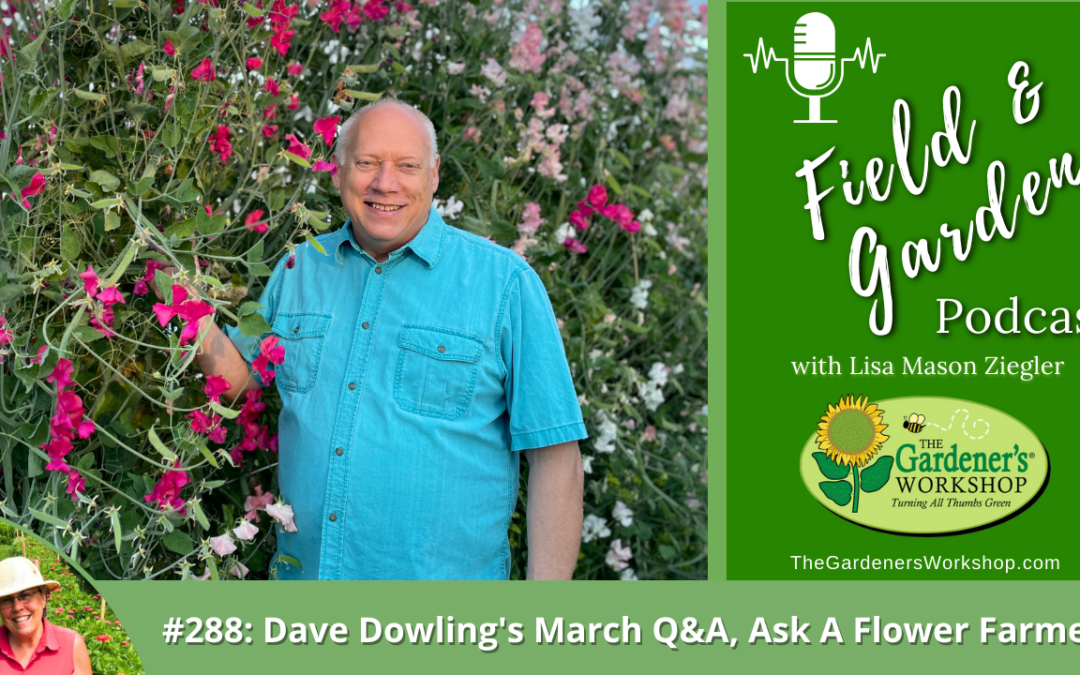 #288: Dave Dowling’s March Q&A, Ask A Flower Farmer