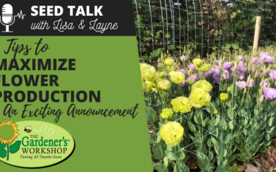 #84 – 6 Tips to Maximize Flower Production + An Exciting Announcement