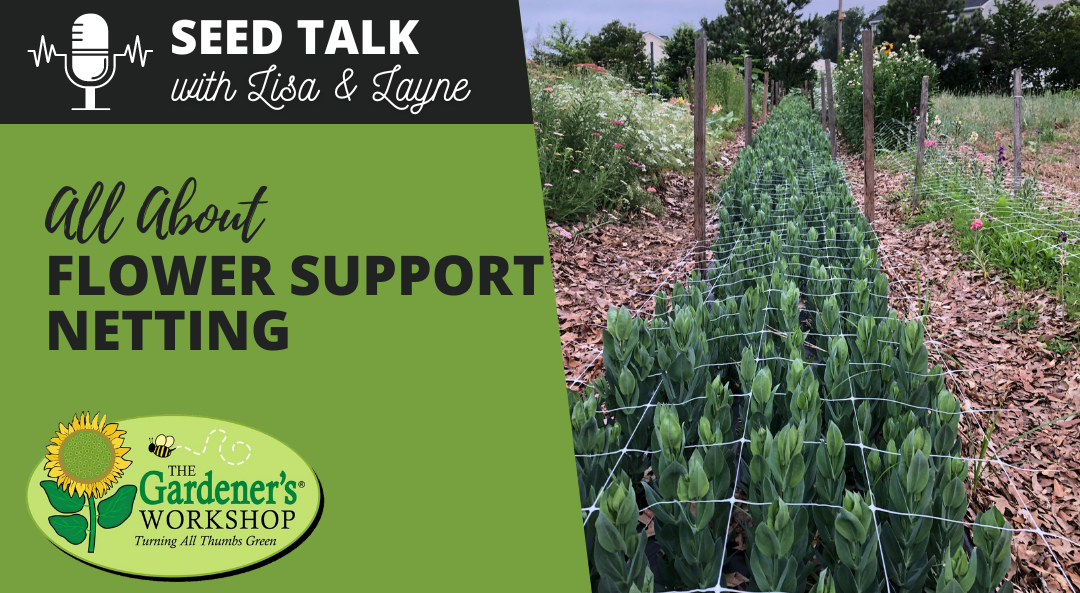 #91 – All About Flower Support Netting