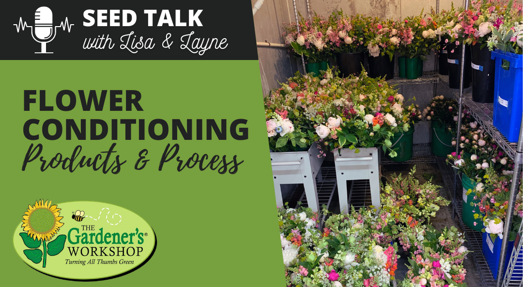 #95 – Flower Conditioning Products & Process