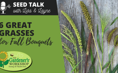 #98 – 6 Great Grasses for Fall Bouquets