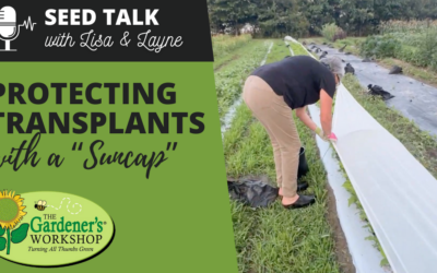 #103 – Protecting Transplants with a “Suncap”