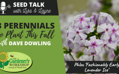 #104 – 3 Perennials to Plant This Fall with Dave Dowling