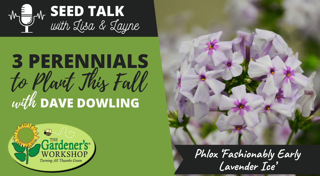 #104 – 3 Perennials to Plant This Fall with Dave Dowling