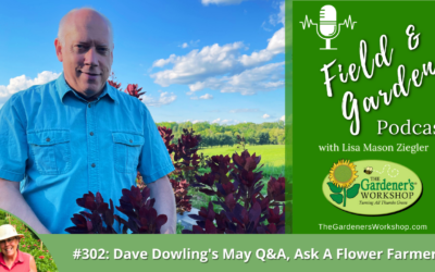 #302: Dave Dowling’s May Q&A, Ask A Flower Farmer