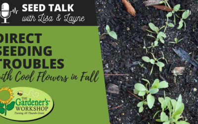 #108 – Direct Seeding Troubles with Cool Flowers in Fall