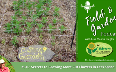 #310: Secrets to Growing More Cut Flowers in Less Space